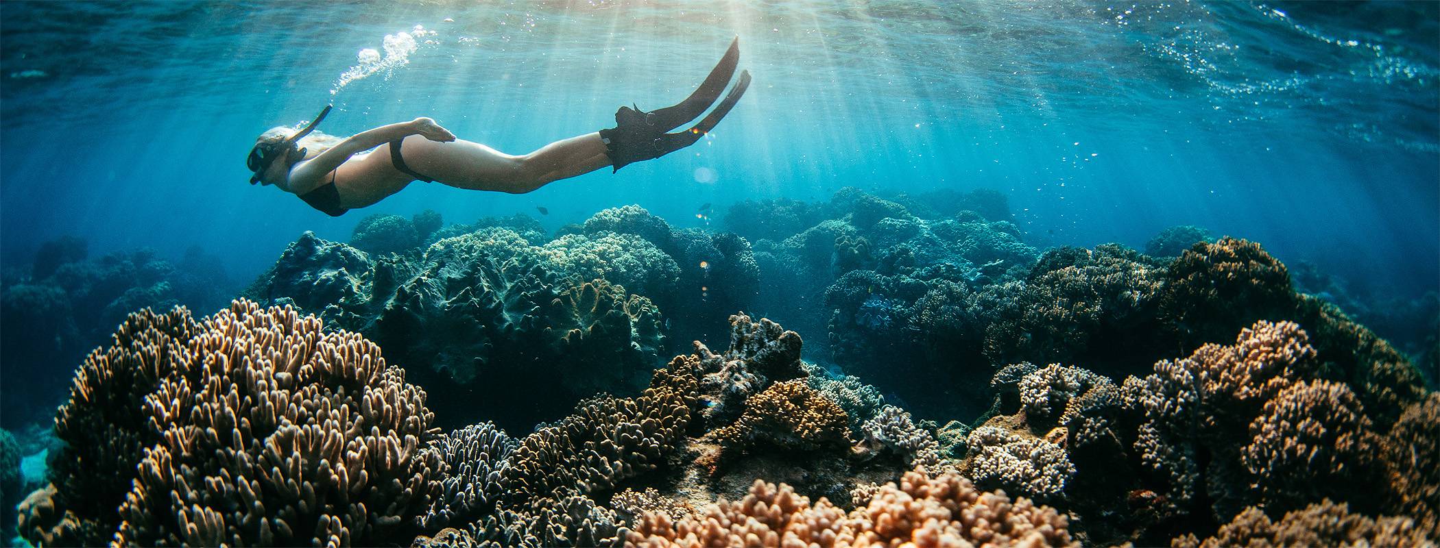 Atmopshere Resort Freediving Schnorcheln