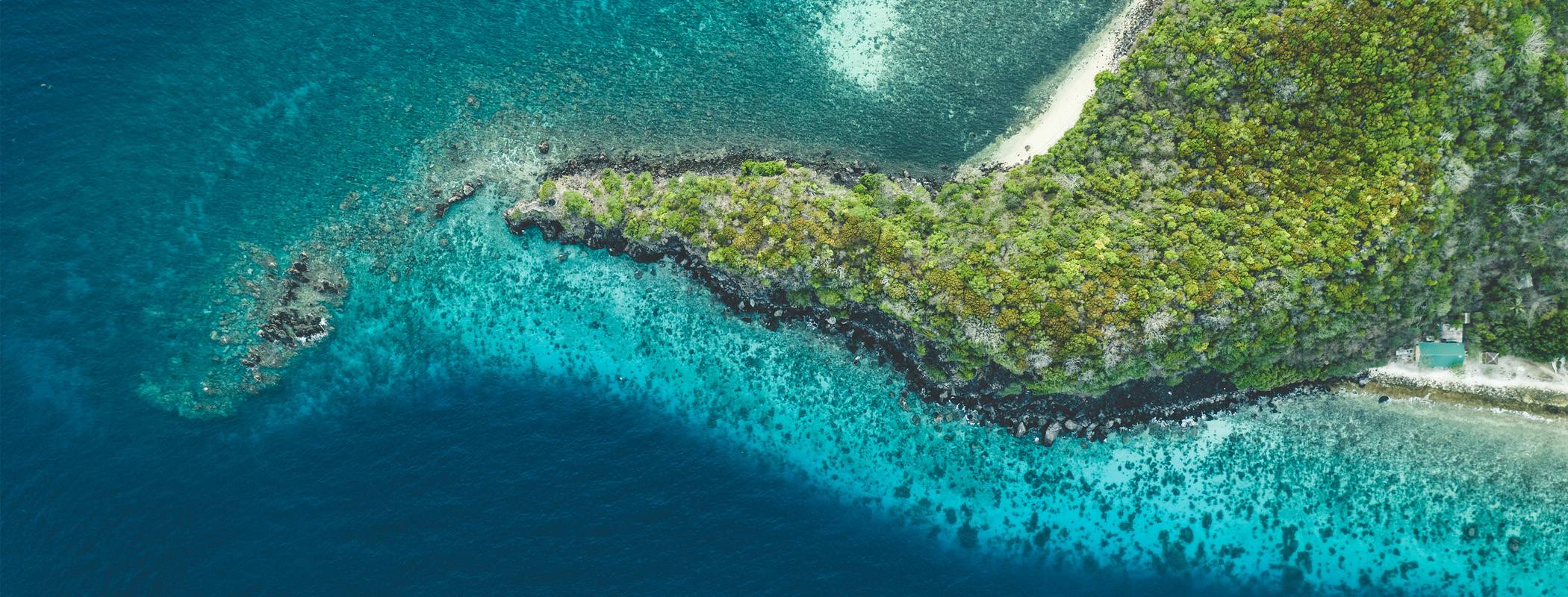 Atmopshere Resort Tauchen Apo Island