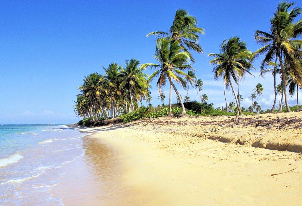 Tauchreise Dominikanische Republik | Palmenstrand