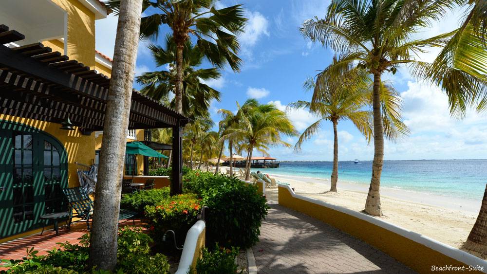 Tauchreise Bonaire | Harbour Village Beach Club | Beachfront-Suite