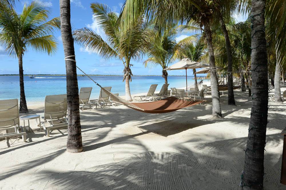 Tauchreise Bonaire | Harbour Village Beach Club | Kokospalmen am Hotelstrand