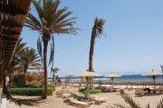 Tauchreise Rotes Meer (Sinai) | InMo Divers Home Dahab | Hotelstrand