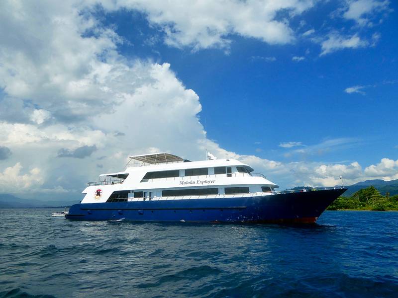Tauchreise Indonesien | Maluku Explorer Tauchschiff