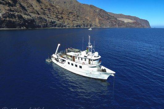 Tauchsafari Palau Ocean Hunter Iii