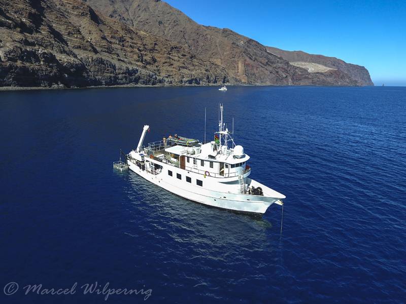 Tauchreisen Mexiko | Nautilus Undersea Tauchschiff | Socorro Inseln & Guadaloupe
