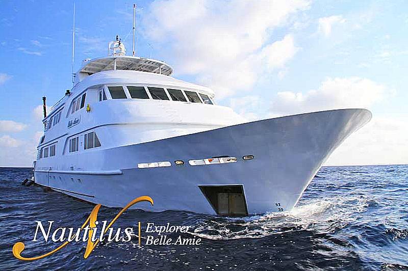 Tauchsafaris Mexiko | Nautilus Belle Amie Tauchschiff