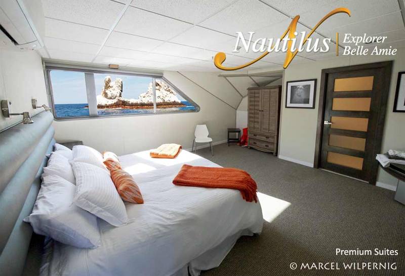Tauchsafaris Mexiko | Nautilus Belle Amie Tauchschiff | Premium Suites