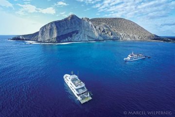 Tauchsafari Cocos Island Okeanos Aggressor Ii