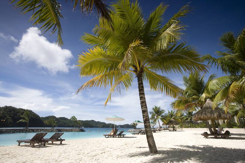 Tauchreise Palau | Palau Royal Resort | Tauchbasis Sam´s Tours