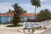 Curacao Blue Bay Lodges Sunny Curacao Tauchbasis Blue Bay Dive