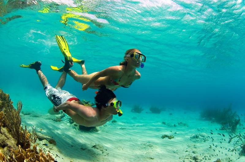 Tauchreise Curaçao | Sun Reef Village on Sea | Unterwasserwelt