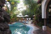 Tauchreise Galapagos Inseln (Santa Cruz) | Hotel Silberstein | Hotelpool mit tropischem Garten