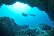 Tauchreise Madeira | Galo Resort Galomar | Manta Diving Holes