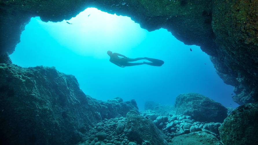 Tauchreise Madeira | Galo Resort Galomar | Manta Diving Holes