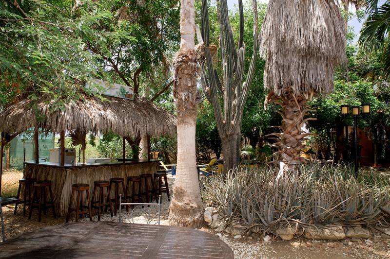 Tauchreise Bonaire | Tropical Inn Resort | Tropische Bar