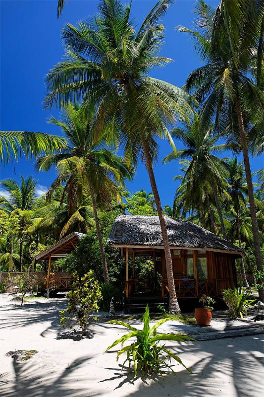 Tauchreise Sulawesi (Indonesien) | Gangga Island Resort & Spa | Strandhütten unter Kokospalmen