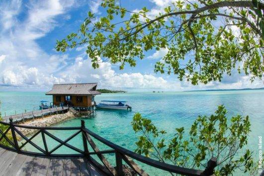 Palau Pacific Resort Tauchbasis Sam S Tours Amp Fish N Fins