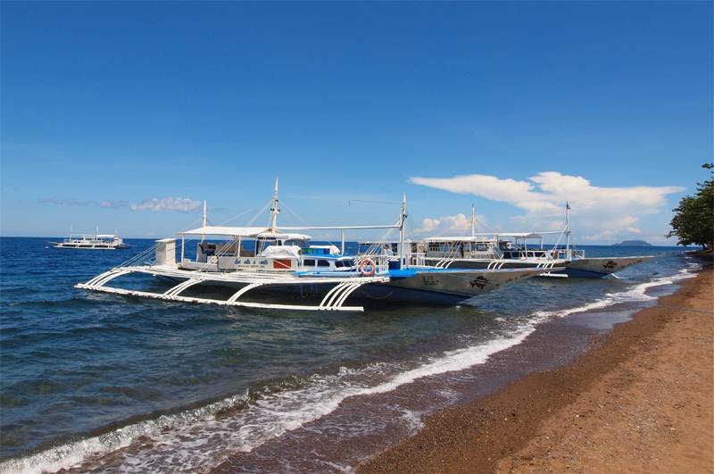 Tauchreise Philippinen (Negros Oriental) | Vida Homes Condo Resort | Tauchboot