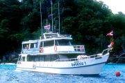 Tauchsafari Thailand | Genesis 1 Tauchschiff | Küstenvegetation