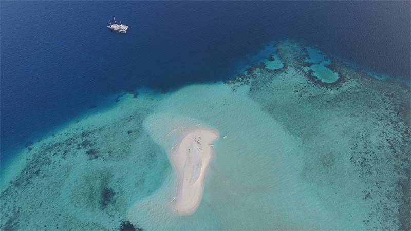 Tauchsafari Malediven | Nautilus Two Tauchschiff | Sandbank