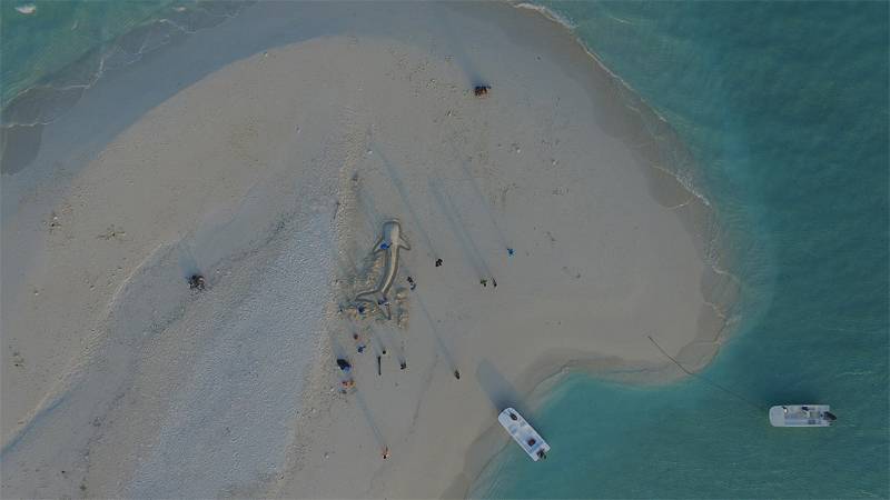 Tauchsafari Malediven | Nautilus Two Tauchschiff | Sandbank