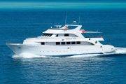 Tauchsafari Rotes Meer | Seawolf Soul Tauchschiff