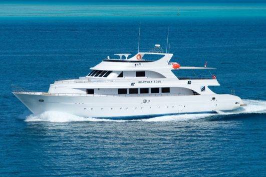 Tauchsafari Indonesien Moana