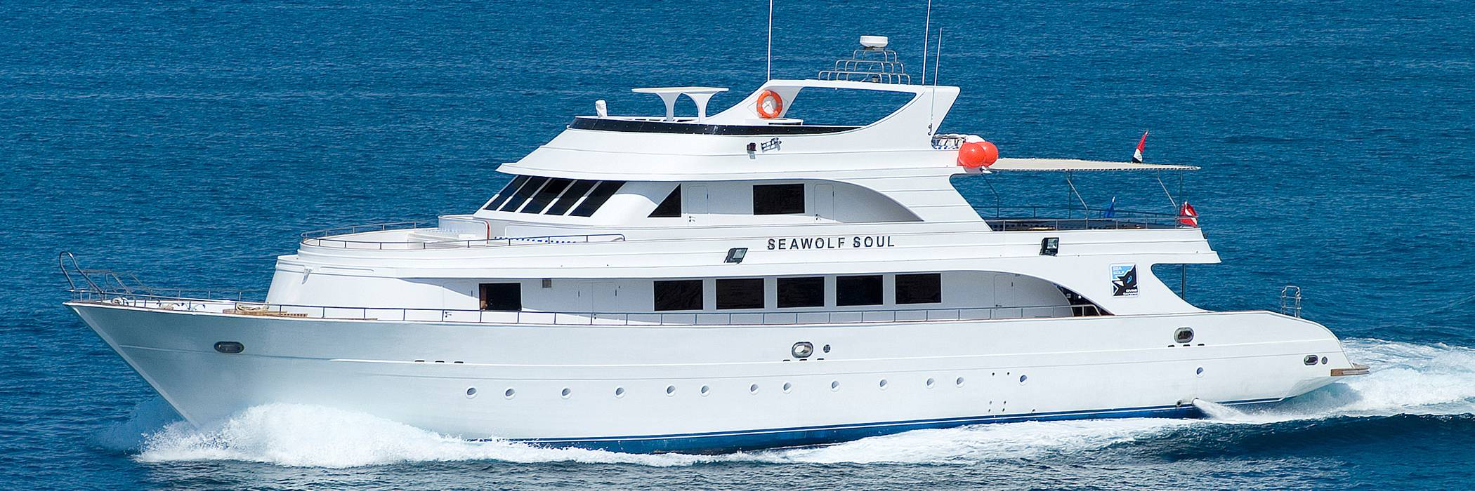 Tauchsafari Ägypten Seawolf Dominator
