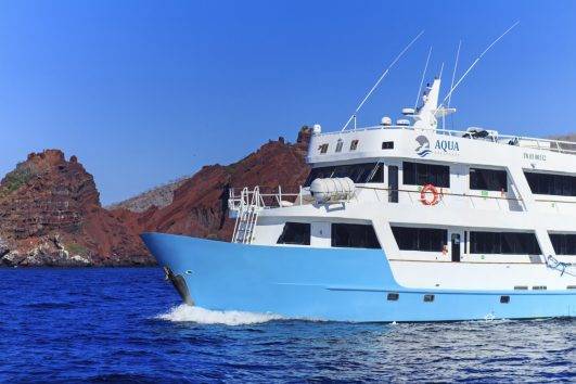 Galapagos Tauchsafari Tiburon Explorer Amp Landausfl Ge