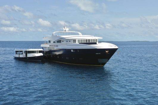 Tauchsafari Philippinen Atlantis Infiniti
