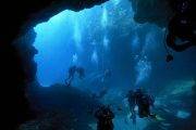 Faial Tauchen Azoren Norberto Diver