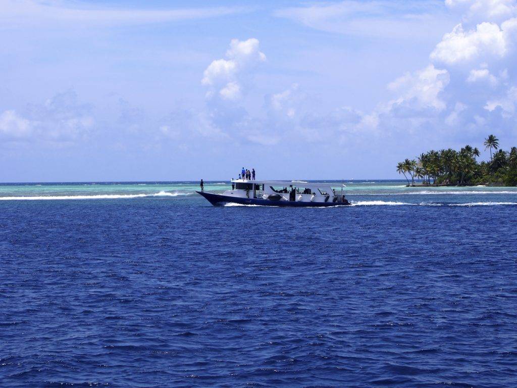 Tauchreise Malediven | Emperor Serenity | Dhoni