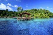 Raja Ampat | Cove Eco Resort | Pier