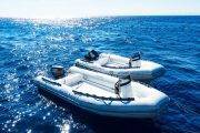 Tauchsafari Gypten Blue Force Iii