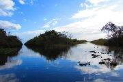 Everglades | Florida