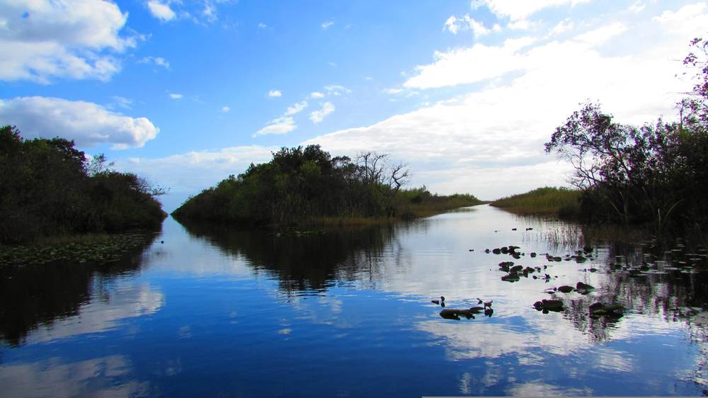 Everglades | Florida