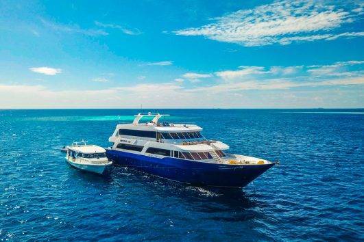 Tauchsafari Philippinen Atlantis Infiniti