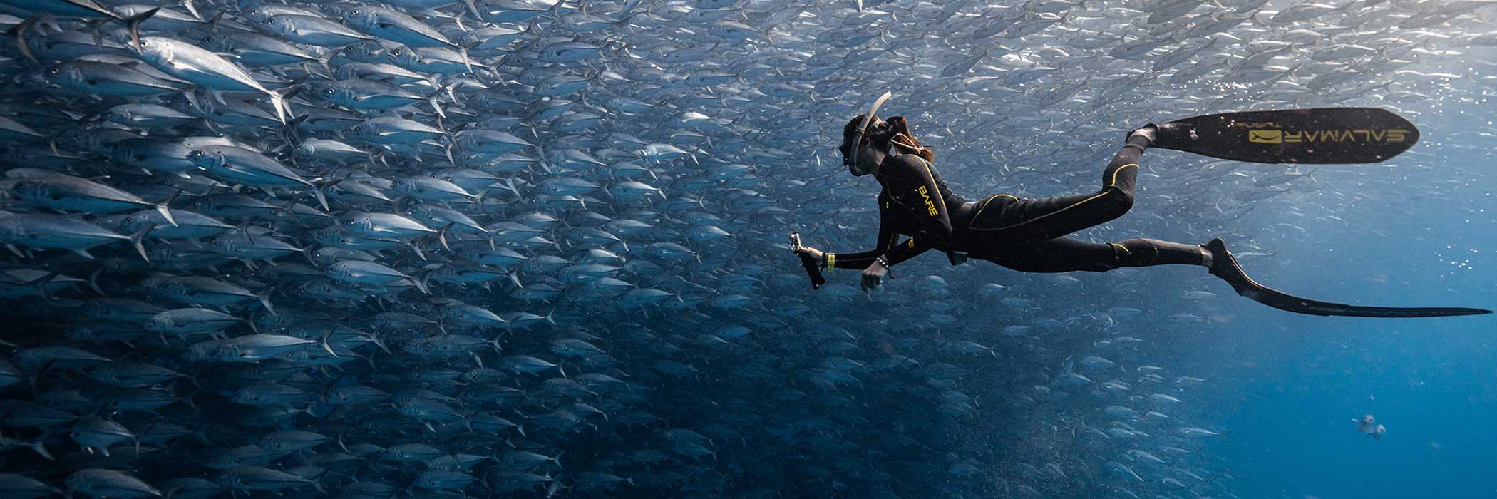 Baja California • Tagestouren