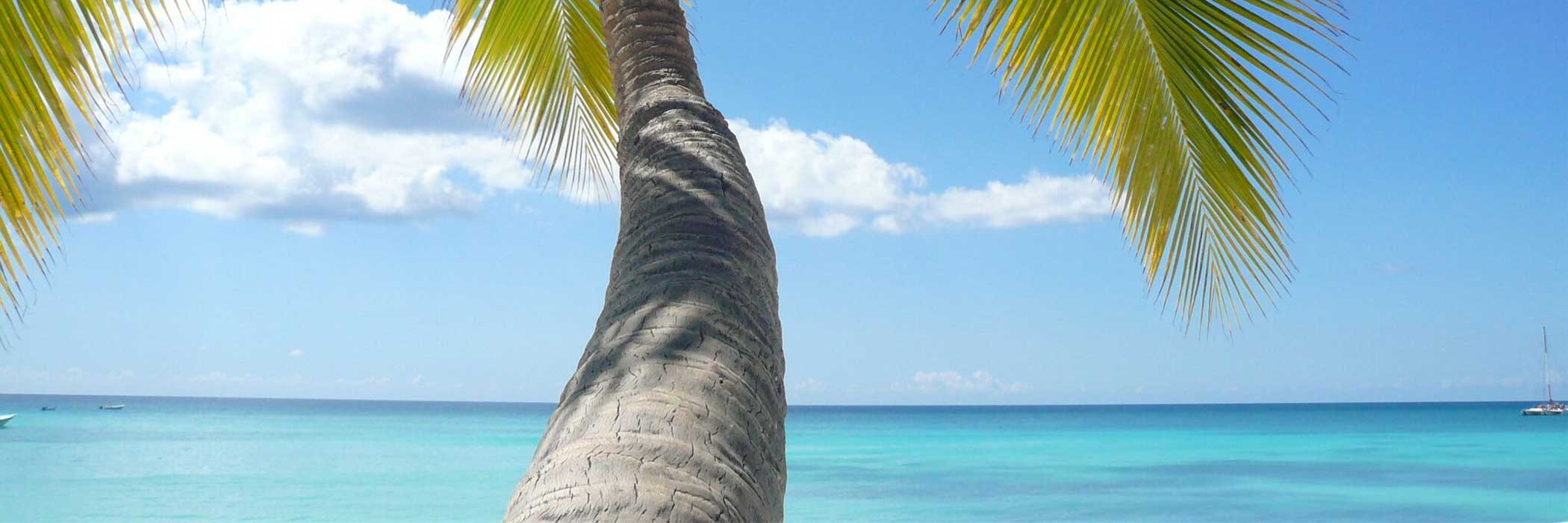 Tauchsafari Cayman Islands