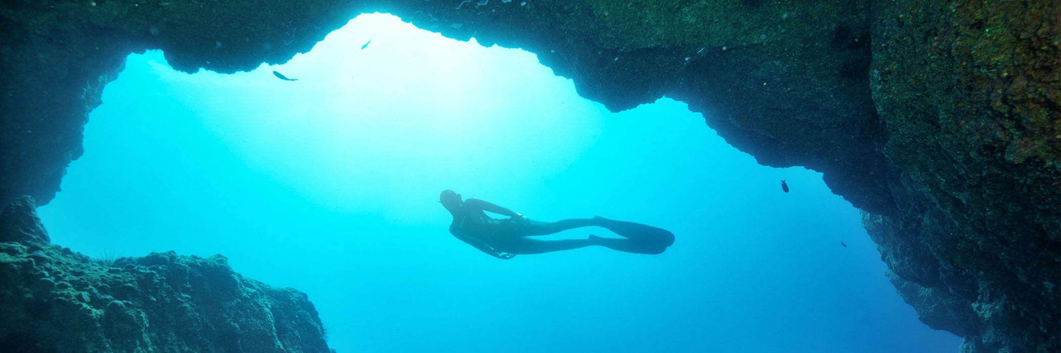 Madeira • Freitauchen Manta Diving