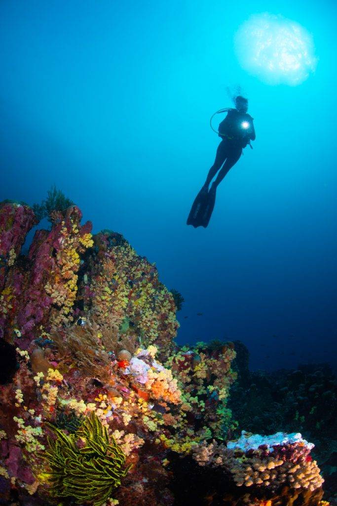 Metita Resort Unterwasser 13