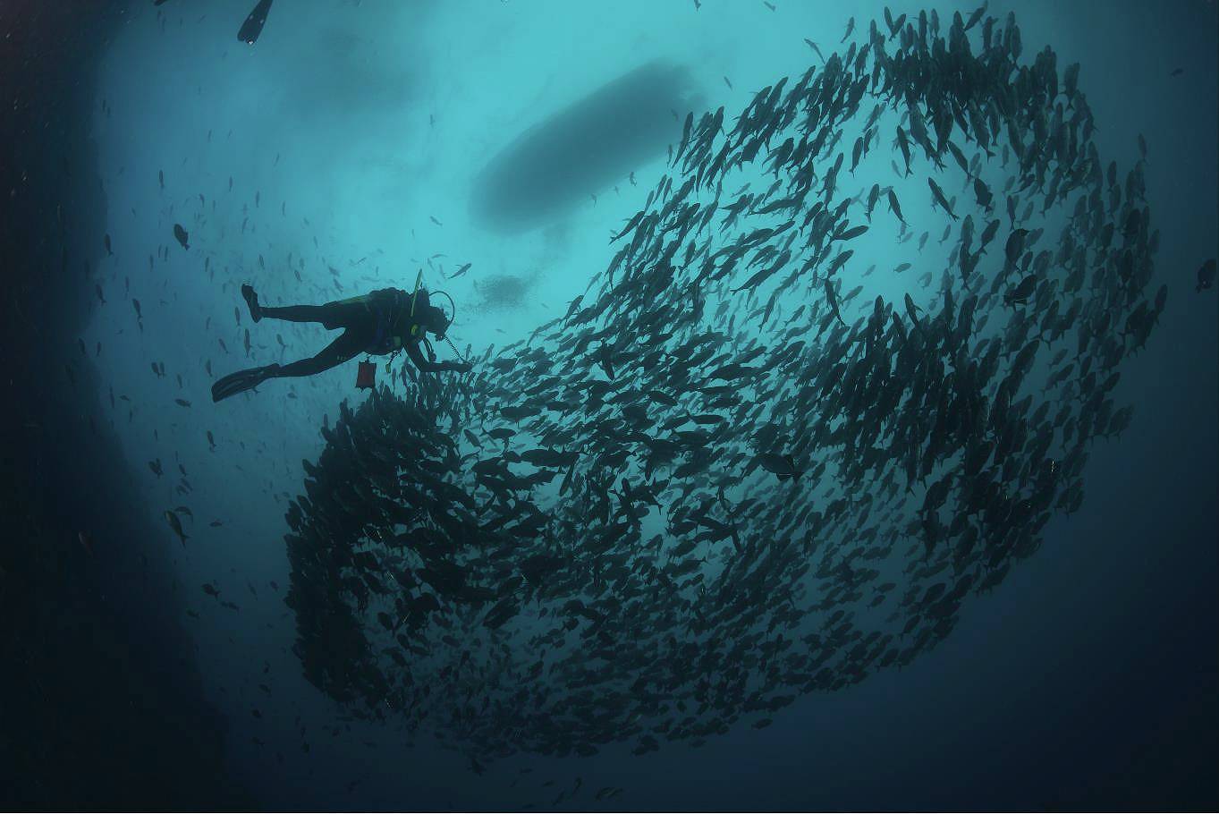 Costa Rica Unterwasser