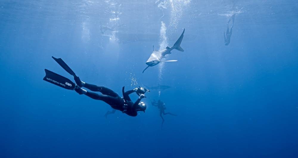 Freediving Azoren