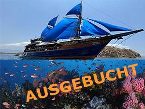 Gruppenreise Moana