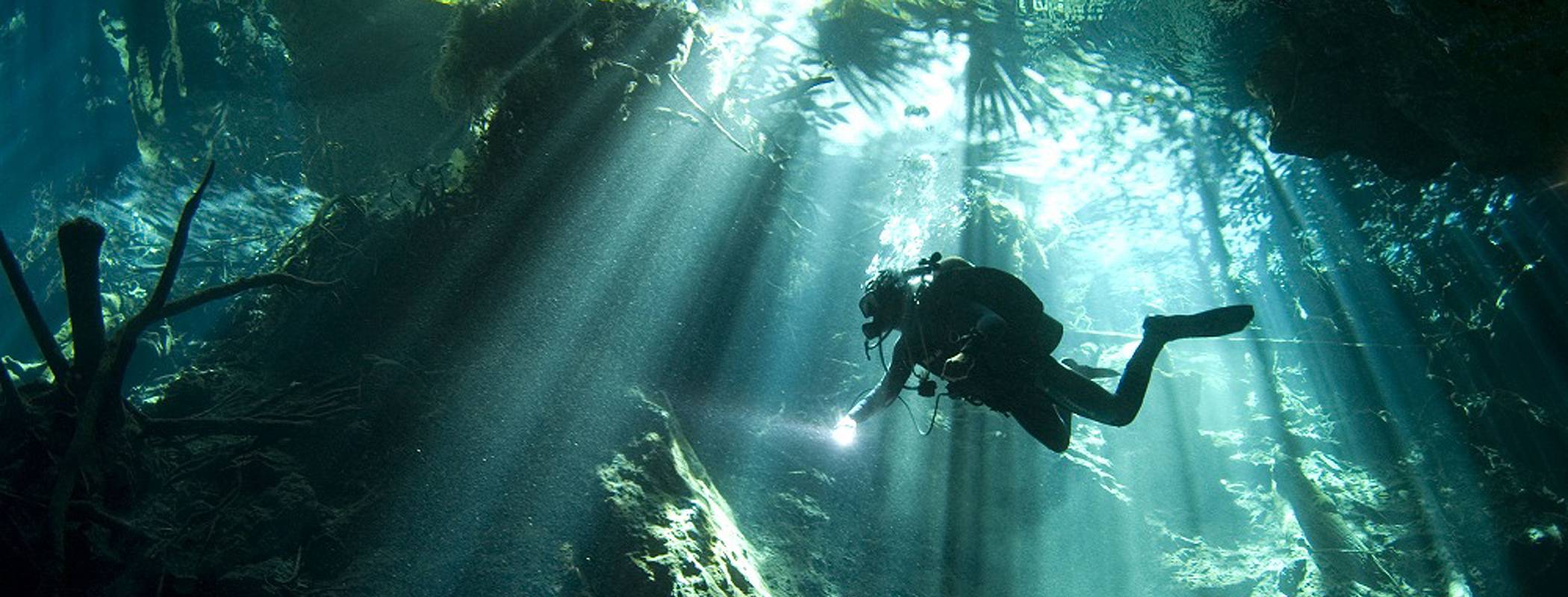 Tauchbasis Pro Dive International Mexiko