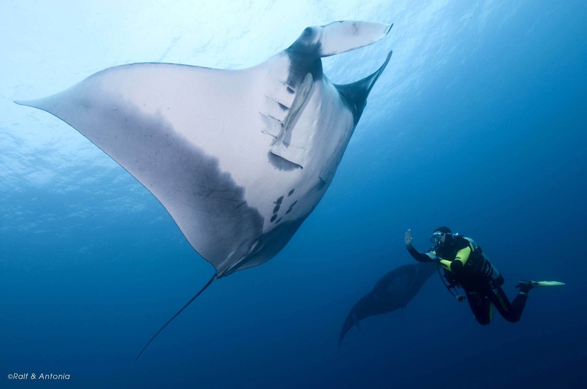 Manta bei Socorro
