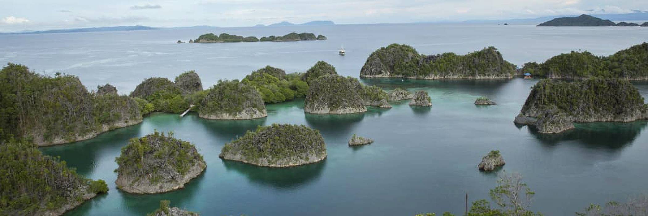 Raja Ampat Inselwelt