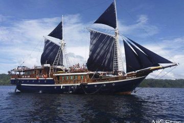 Tauchsafari Aurora